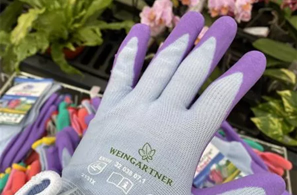 Weingaertner Handschuhe 2023.jpg