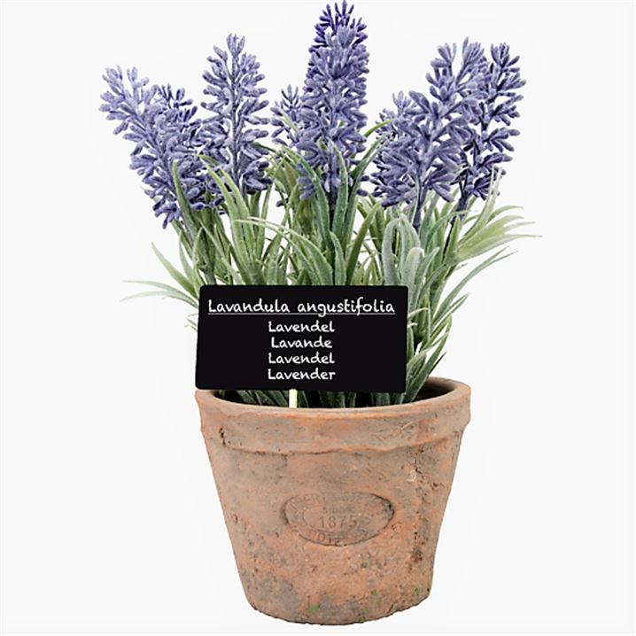 KunstLavendel im Topf