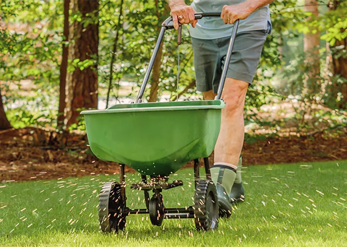 Rasenpflege im Frühjahr Mähen, Düngen, Vertikutieren Weingärtner