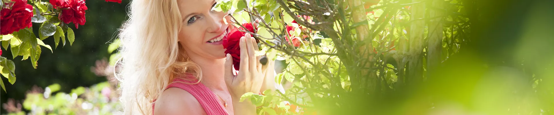 GS517692.jpg GS517692.jpg