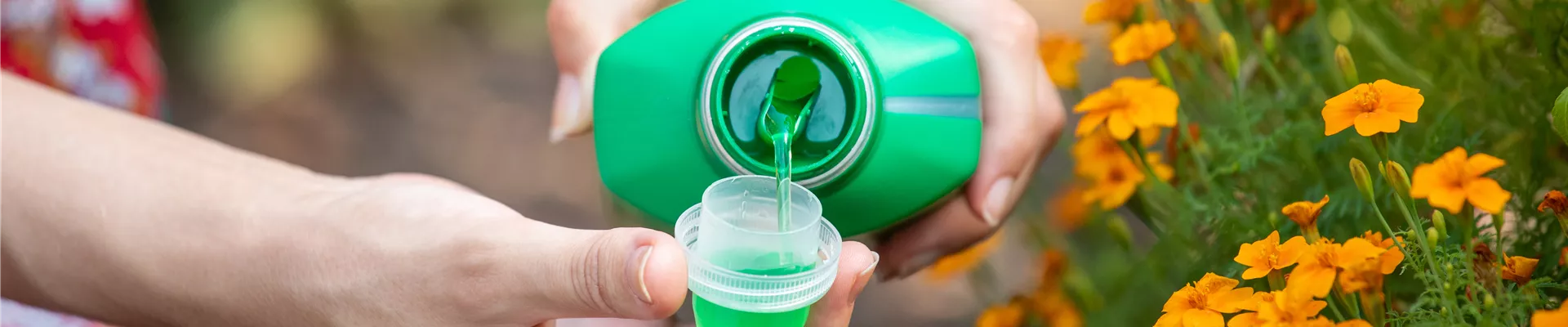 GS671883.jpg GS671883.jpg