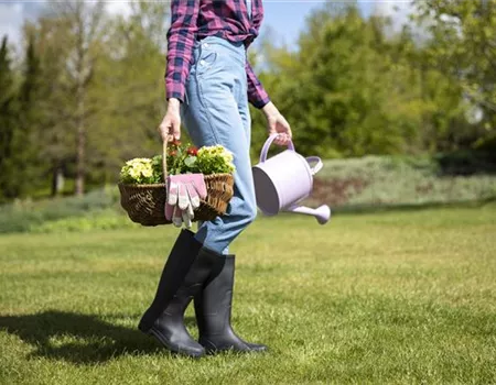 Frühjahrsgartenplanung – Tipps für Gemüse, Obst und Blumen