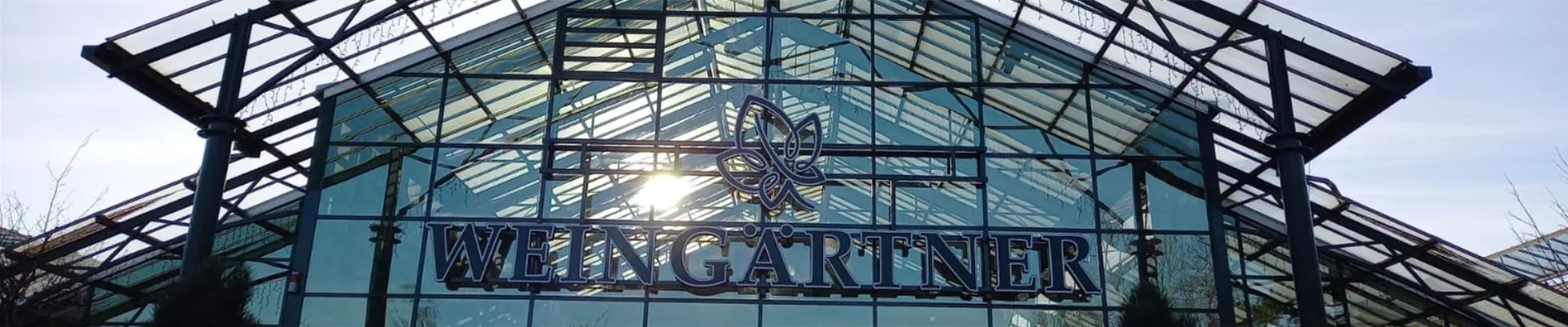 Header_Front_lili_1903_396.png Header_Front_lili_1903_396.png