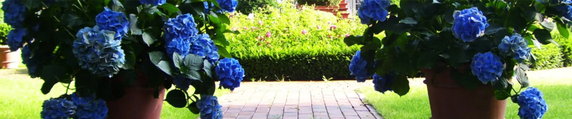 Header_Gala_2021_1903_396.png Header_Gala_2021_1903_396.png