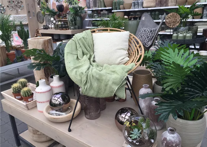 IMG_3528.JPG IMG_3528.JPG