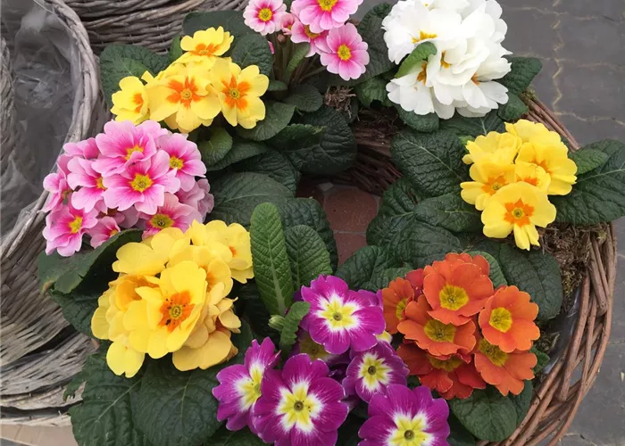 IMG_3517.JPG IMG_3517.JPG