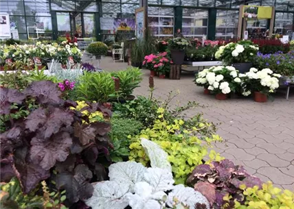 IMG_5786.JPG IMG_5786.JPG