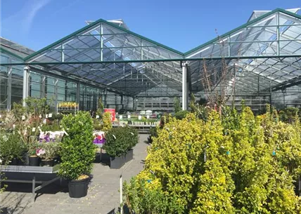 IMG_1507.JPG IMG_1507.JPG