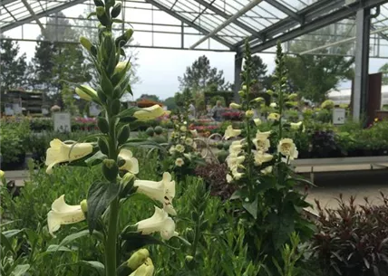 IMG_1738.JPG IMG_1738.JPG