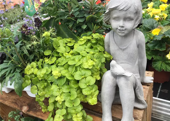 IMG_2179.JPG IMG_2179.JPG