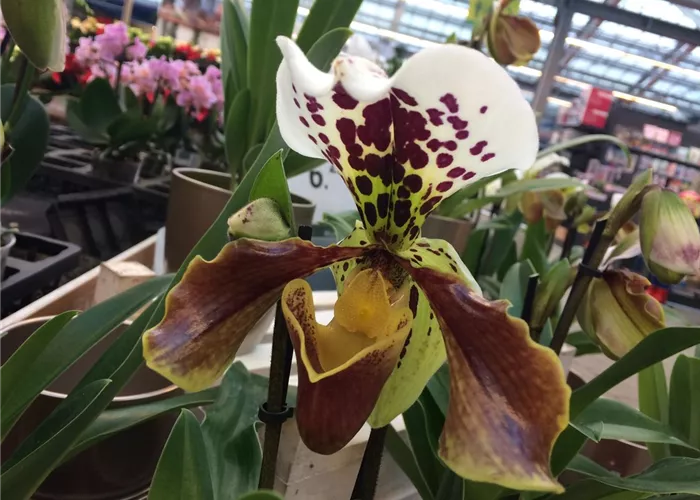 IMG_3763.jpg IMG_3763.jpg