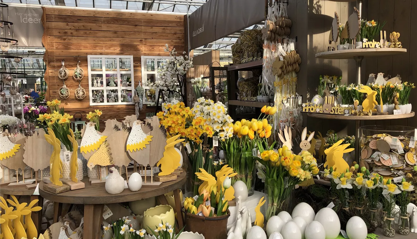 IMG_3602.JPEG IMG_3602.JPEG