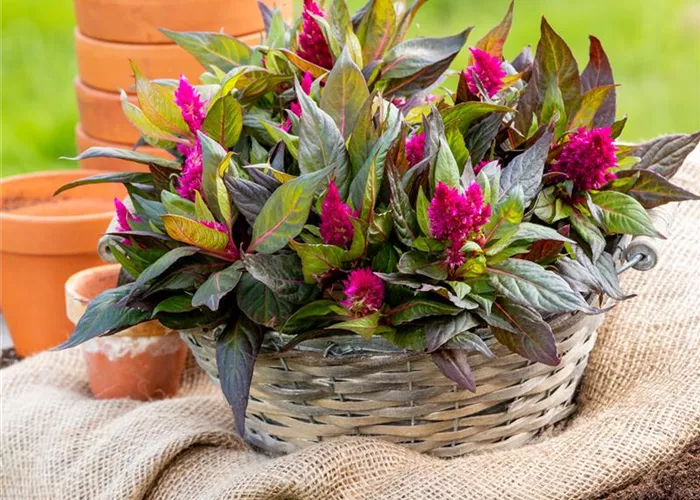 Gartenbedarf Gartenbedarf