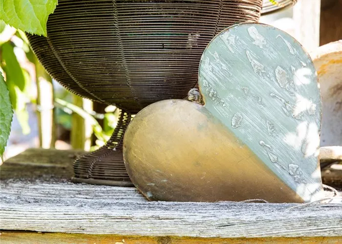 Deko & Ambiente Deko & Ambiente