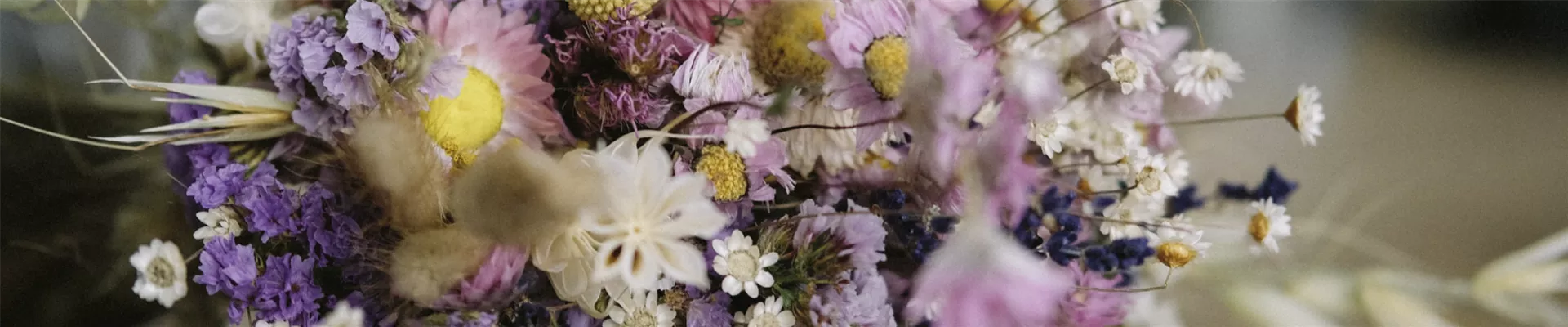 trockenblumen-der-trend-fuer-ihr-zuhause.png trockenblumen-der-trend-fuer-ihr-zuhause.png