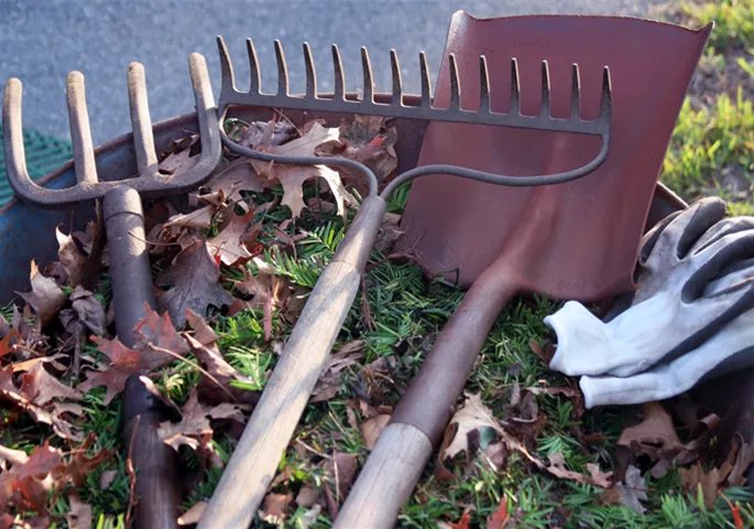 gartenkalender-herbst-beetarbeiten.jpg