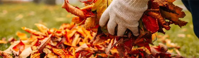 gartenkalender-herbst-laub-als-frostschutz.jpg