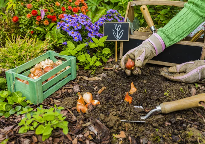 gartenkalender-herbst-fruehjahrsplanung.jpg