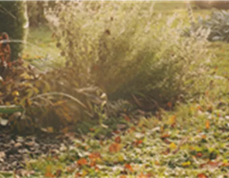 Weingärtners Gartenkalender – Was ist im Winter im Garten zu tun?