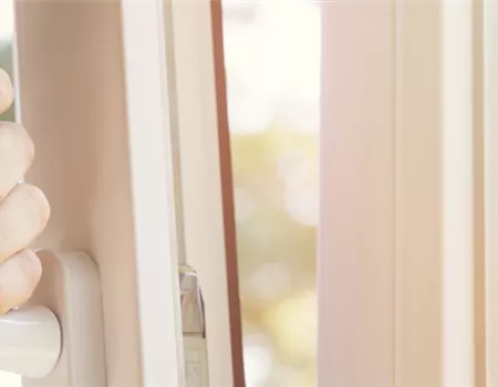 Luftreinigende Zimmerpflanzen Luftreinigende Zimmerpflanzen