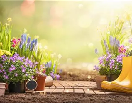 Weingärtners Gartenkalender – Was ist im Frühling zu tun?