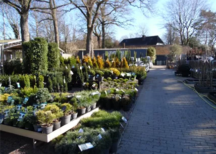 aussenbereich-3-baumschule-weingaertner-gartencenter.jpg aussenbereich-3-baumschule-weingaertner-gartencenter.jpg