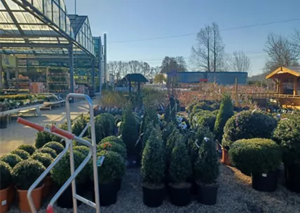 aussenbereich-4-baumschule-weingaertner-gartencenter.jpg aussenbereich-4-baumschule-weingaertner-gartencenter.jpg