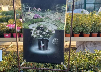 bloombux-baumschule-weingaertner-gartencenter.jpg bloombux-baumschule-weingaertner-gartencenter.jpg