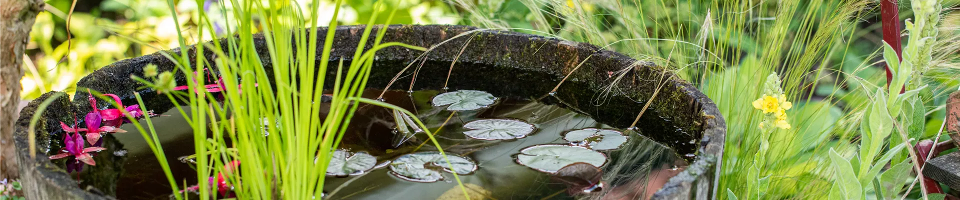 GS669241.jpg GS669241.jpg