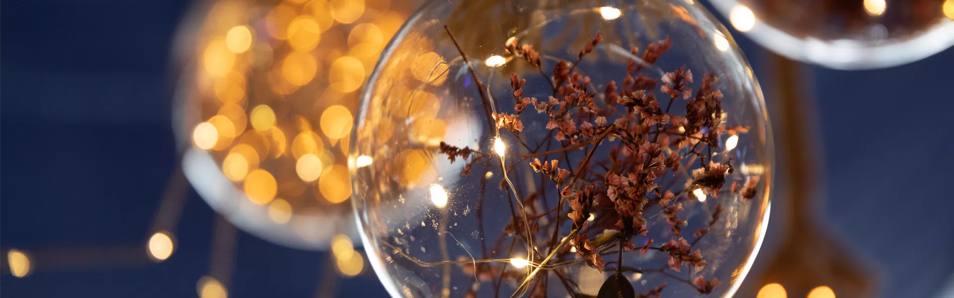 211011_Weihnachten_0097.jpg 211011_Weihnachten_0097.jpg