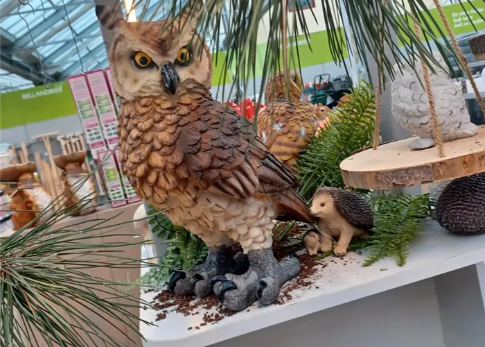 20220111_093912.jpg 20220111_093912.jpg