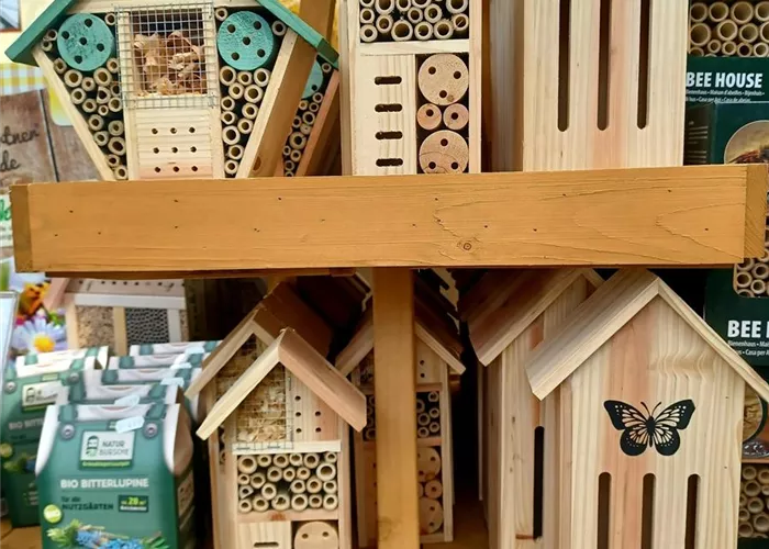 20220516_135332.jpg 20220516_135332.jpg