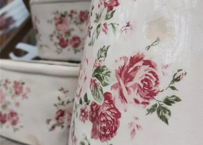 20220530_144608.jpg 20220530_144608.jpg