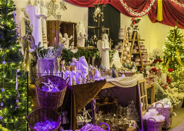 DSC_8595.jpg DSC_8595.jpg