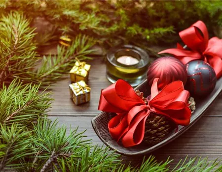 Weingärtners Gartenmagazin Winter 2022 Weingärtners Gartenmagazin Winter 2022