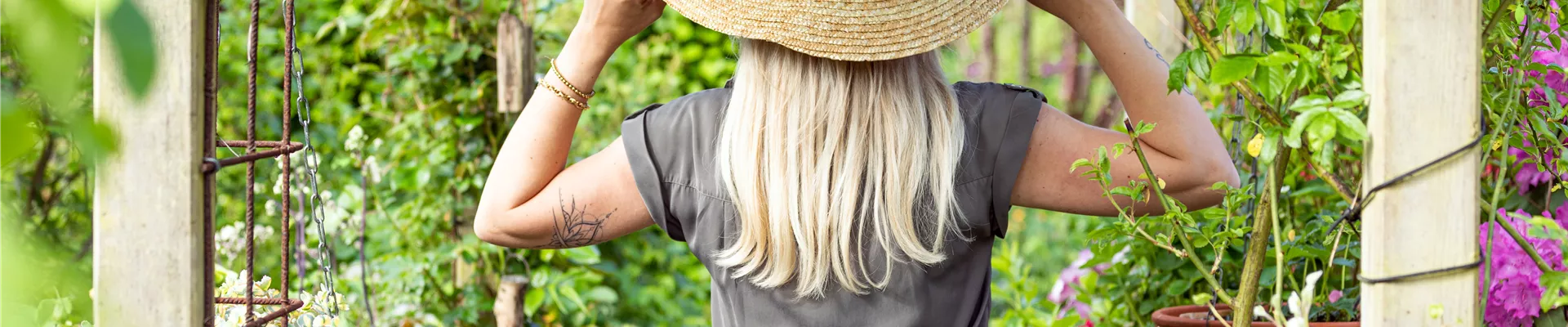 GS744779.jpg GS744779.jpg