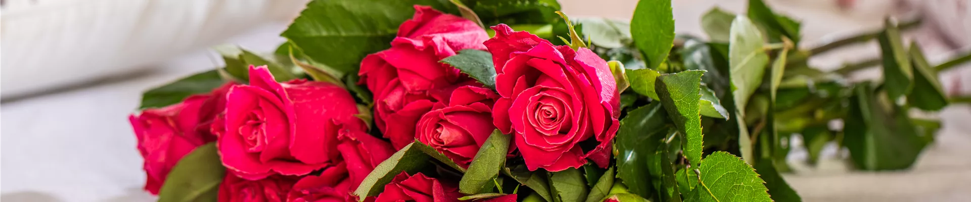 GS701402.jpg GS701402.jpg