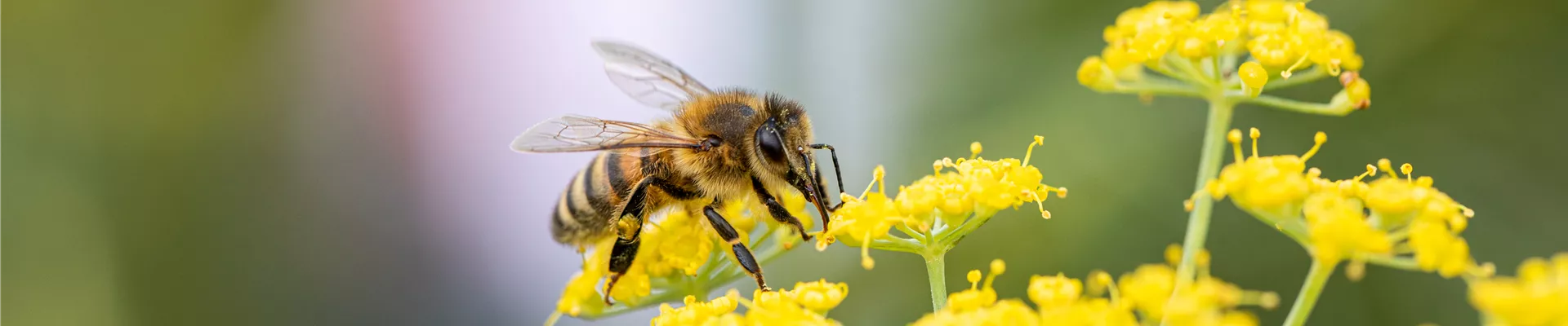 GS670402.jpg GS670402.jpg