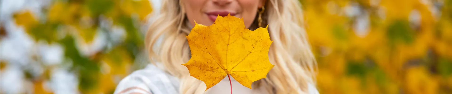 GS696425.jpg GS696425.jpg