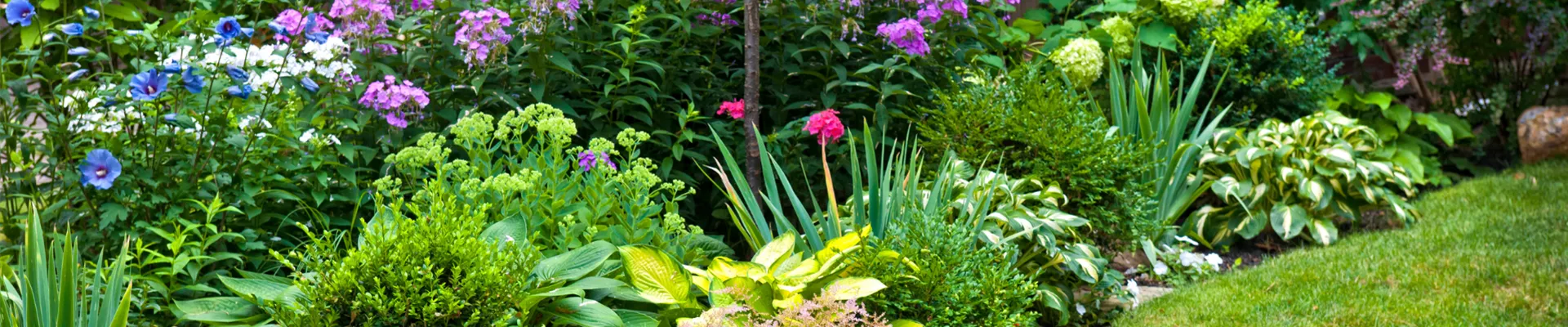 landingpage_stauden_hitzebestaendige_vielblueher_1920x650.png landingpage_stauden_hitzebestaendige_vielblueher_1920x650.png