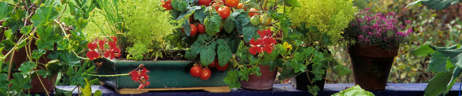 landingpage_header_Blog gaertnergsohnegartenoutdoor 1920x650.png