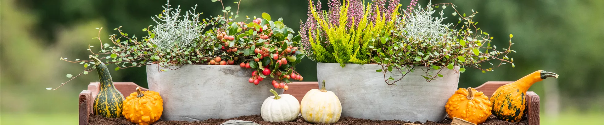 GS673159.jpg GS673159.jpg