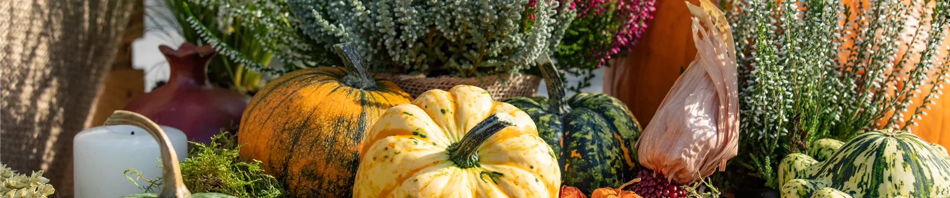 GS674855.jpg GS674855.jpg