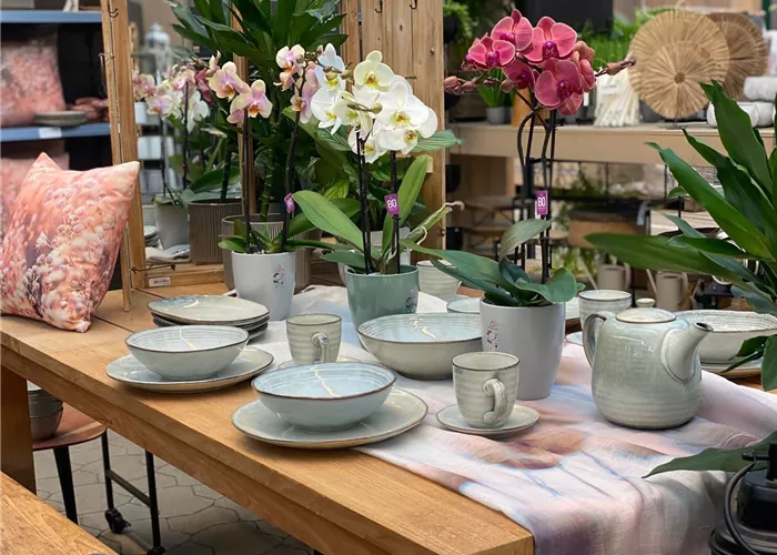 IMG-20240116-WA0014.jpg IMG-20240116-WA0014.jpg