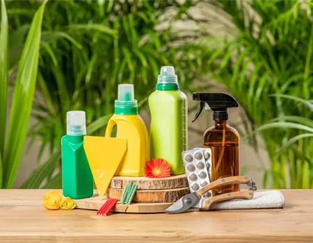 Weingärtners Pflanzendoktor-Fibel