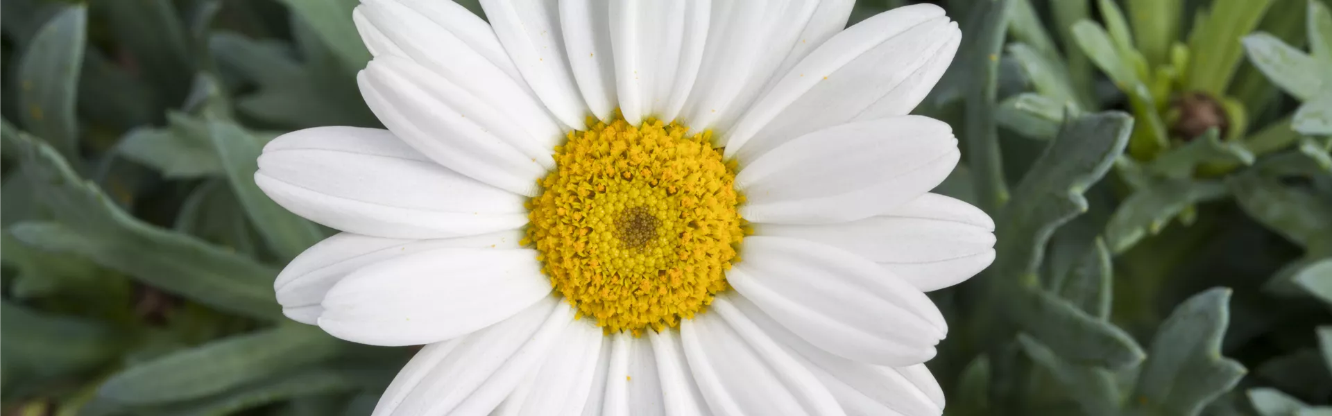 GS513945.jpg GS513945.jpg