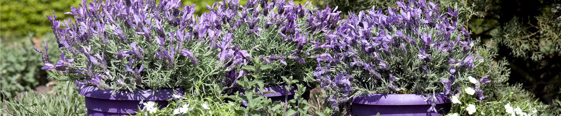 GS489622.jpg GS489622.jpg