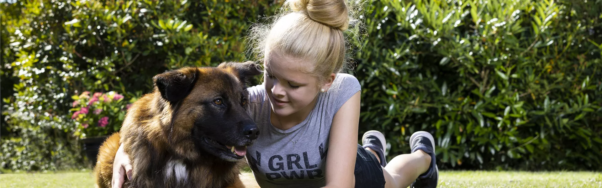 GS586141.jpg GS586141.jpg