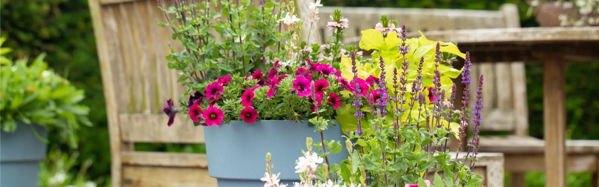 GS625846.jpg GS625846.jpg