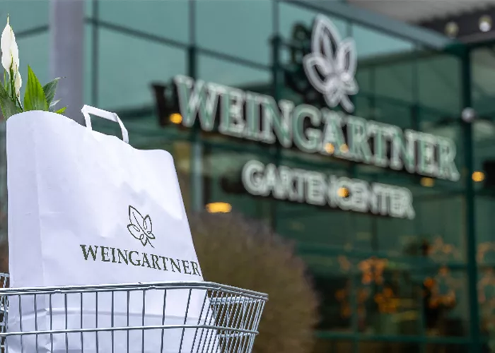 Weingärtner Ritterhude